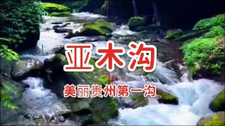 合金装备幸存